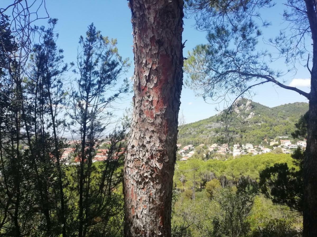 Casa Vacanze "Villa Severina" Iun R6166 R6692 Carbonia Kültér fotó